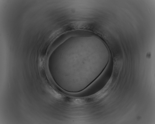 X0000094330239200711241836