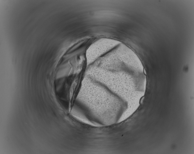 X0000094330241200711241835