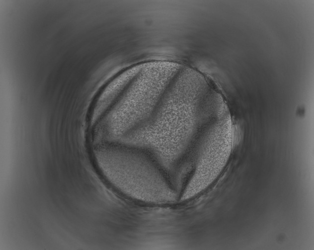 X0000094330243200711241835