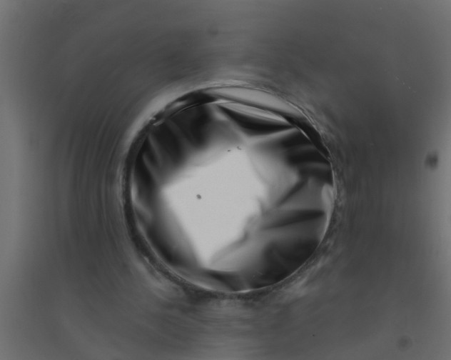 X0000094330244200711241835