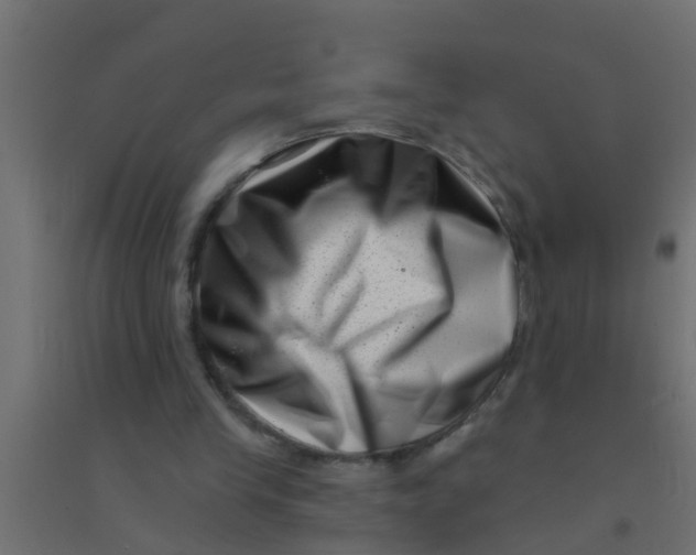 X0000094330245200711241835