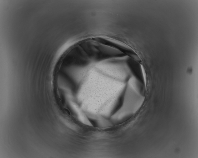 X0000094330246200711241835