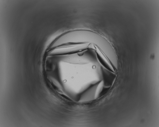 X0000094330248200711241835