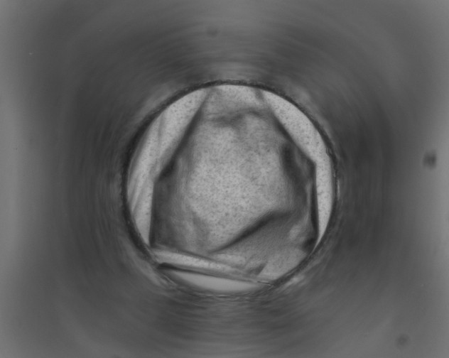 X0000094330249200711241835