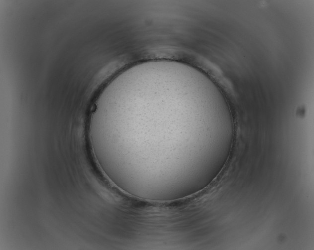 X0000094330250200711241835