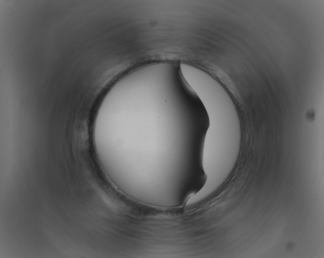 X0000094330251200711241835