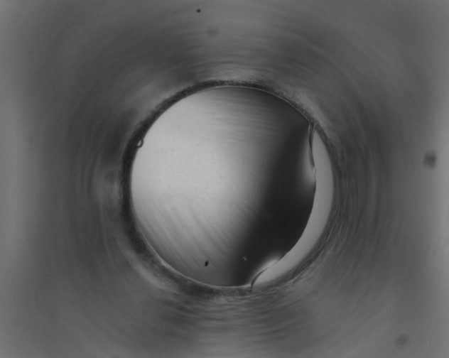 X0000094330252200711241835