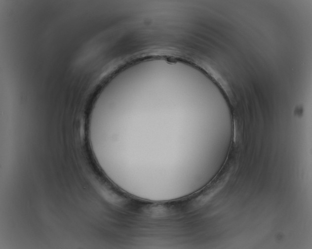 X0000094330253200711241835