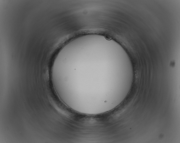 X0000094330254200711241835