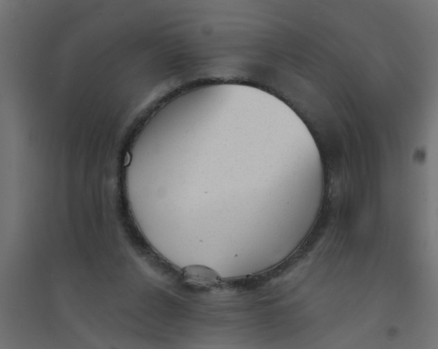 X0000094330256200711241835