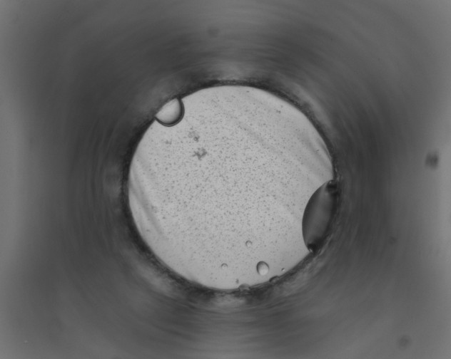 X0000094330257200711241835