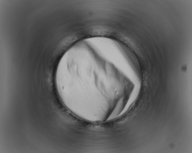 X0000094330258200711241835