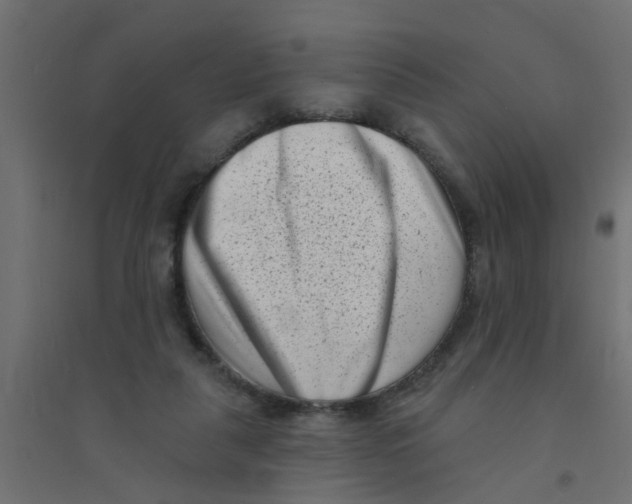 X0000094330259200711241835