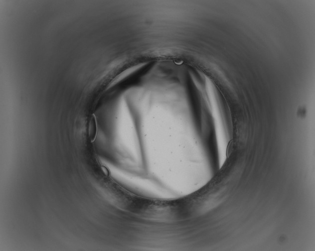 X0000094330260200711241835