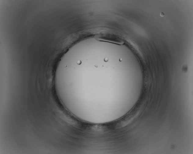 X0000094330261200711241835