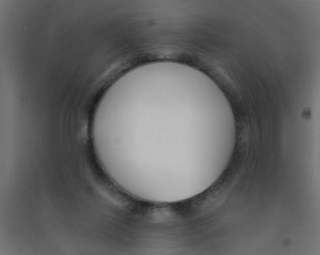 X0000094330262200711241835