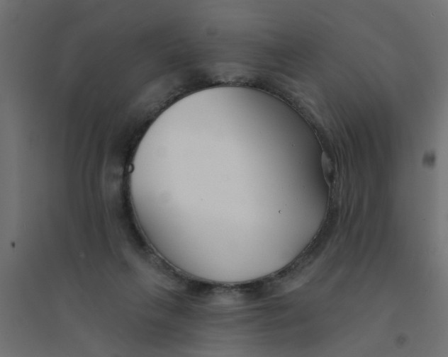 X0000094330263200711241835