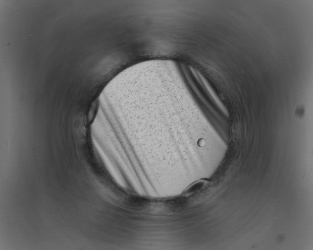 X0000094330264200711241836