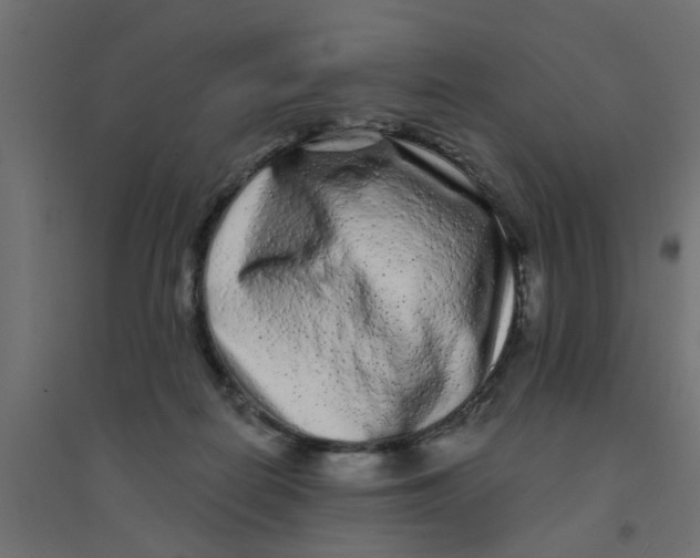 X0000094330266200711241836