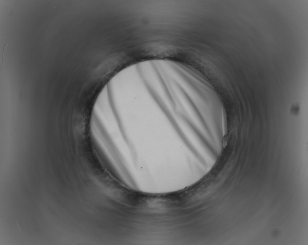 X0000094330268200711241836