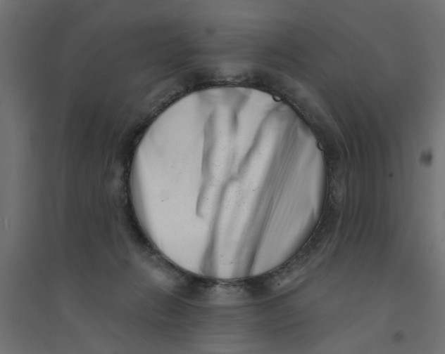 X0000094330270200711241836