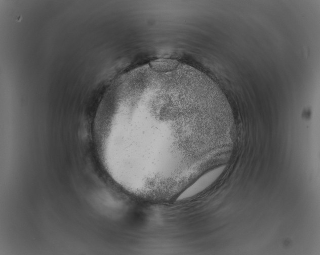 X0000094330272200711241836