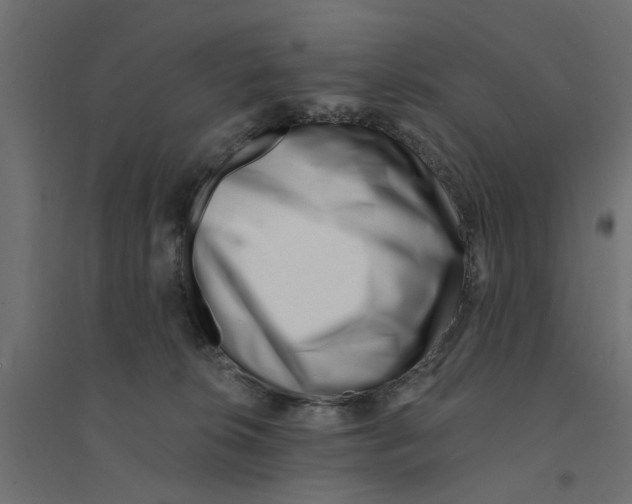 X0000094330276200711241836