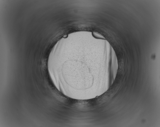 X0000094330278200711241836