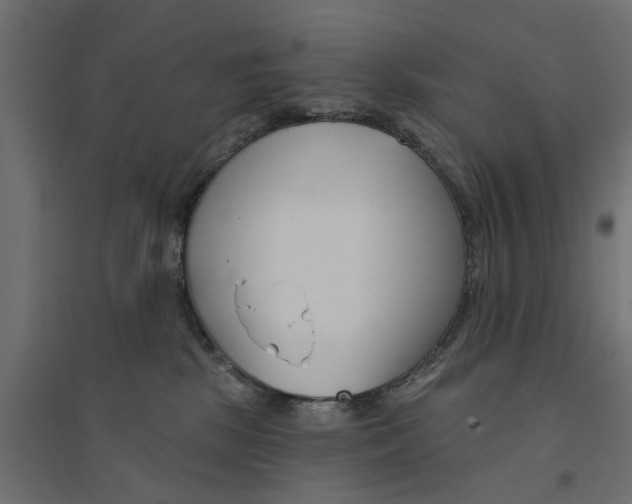 X0000094330281200711241836