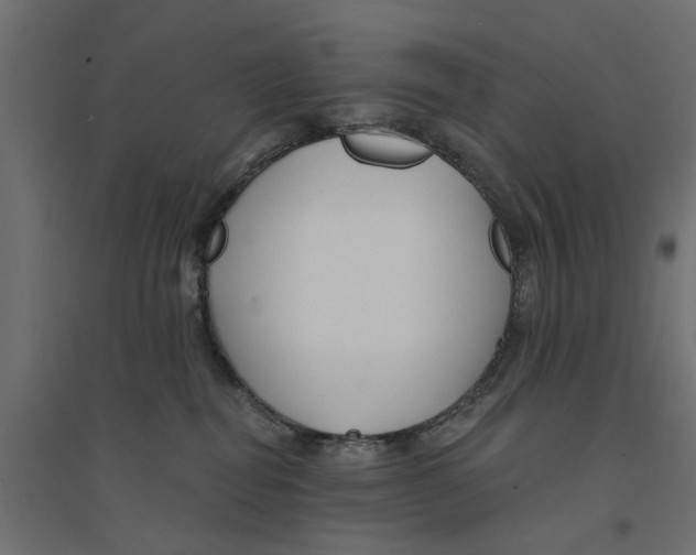 X0000094330282200711241836