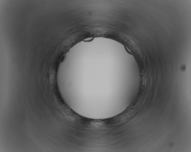 X0000094330283200711241836