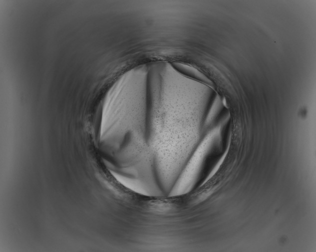 X0000094330284200711241836