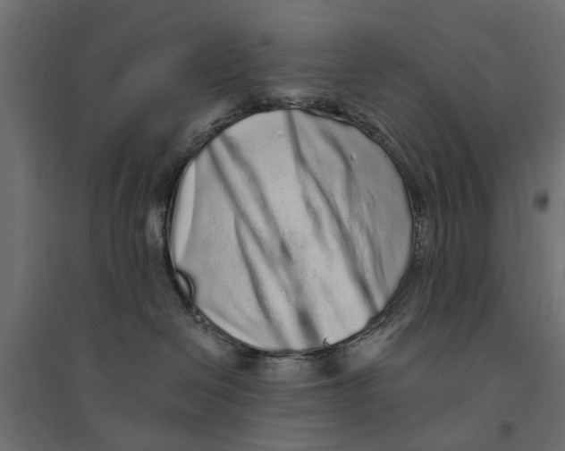 X0000094330286200711241836