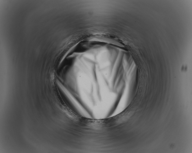 X0000094330288200711241836