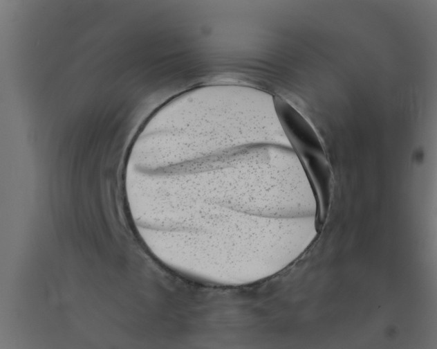 X0000094330289200711241835