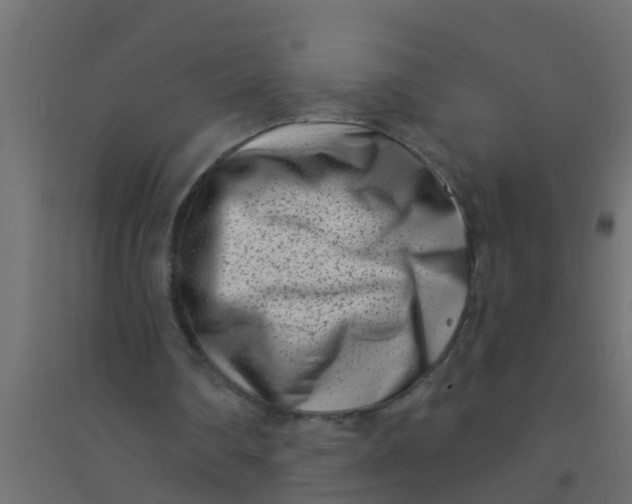 X0000094330290200711241835