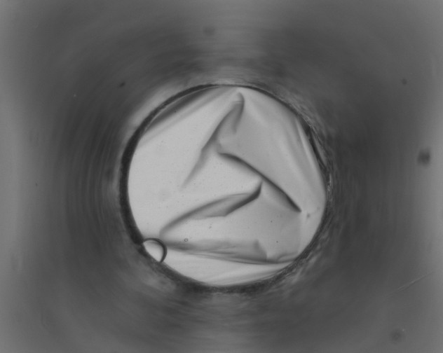 X0000094330292200711241835