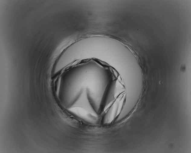 X0000094330293200711241835