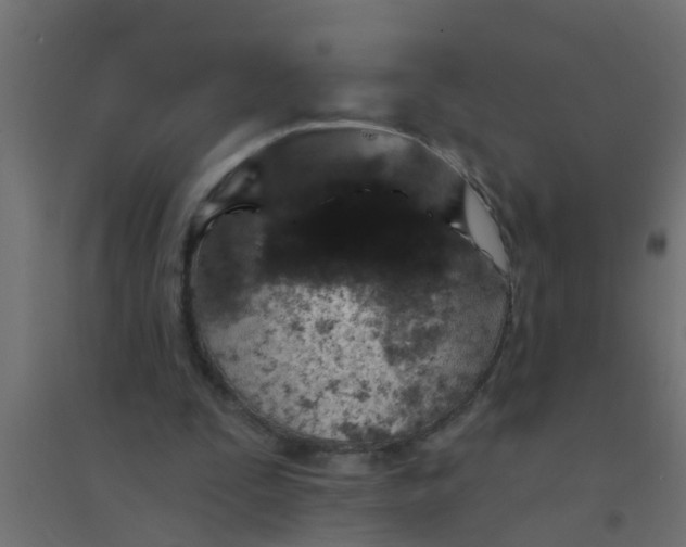 X0000094330295200711241835