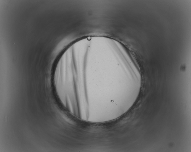 X0000094330296200711241835