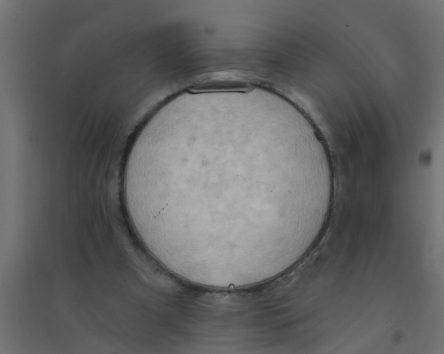 X0000094330297200711241835