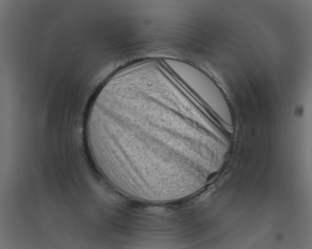 X0000094330298200711241835