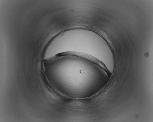 X0000094330299200711241835