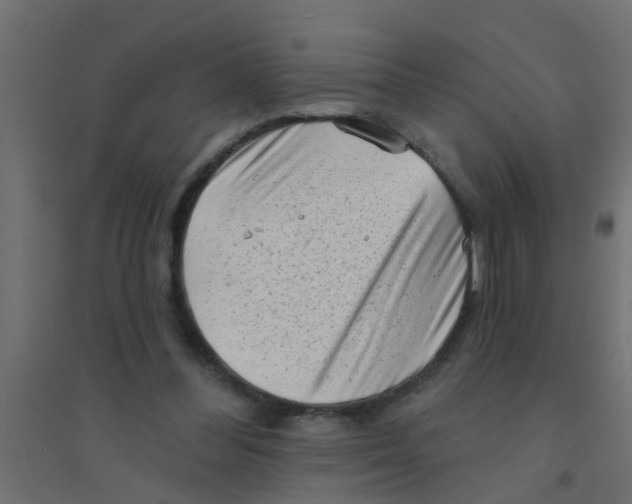 X0000094330300200711241835