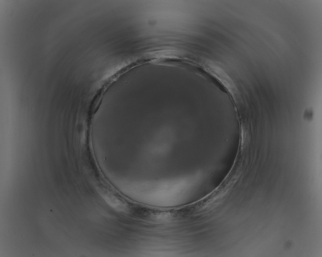 X0000094330301200711241835