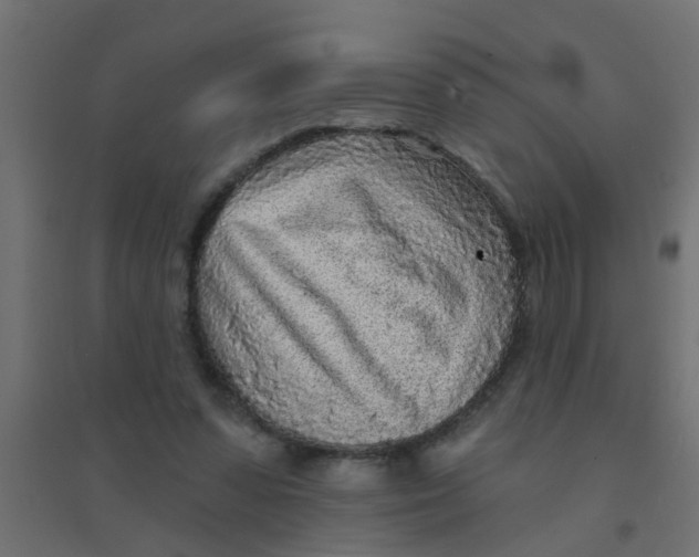 X0000094330303200711241835