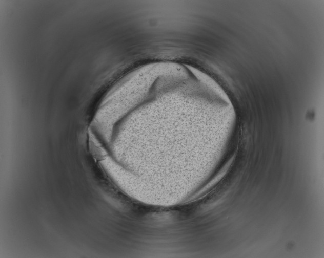 X0000094330307200711241835