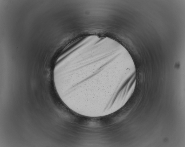 X0000094330308200711241835