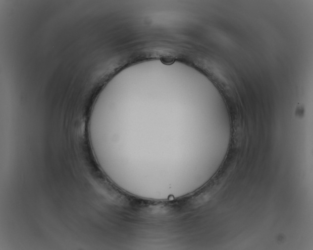 X0000094330310200711241835