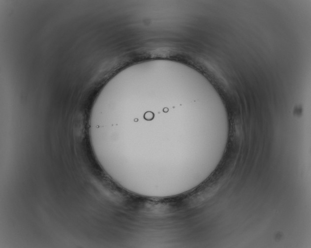 X0000094330311200711241835